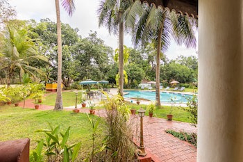 Granpa's Inn Hotel Bougainvillea