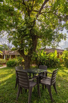 Granpa's Inn Hotel Bougainvillea