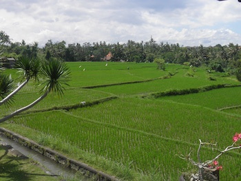 Bumi Ubud Resort