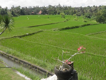 Bumi Ubud Resort