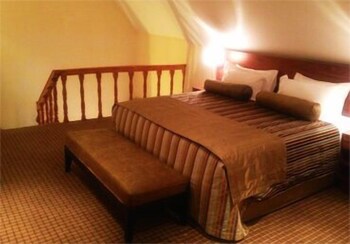 Amor Hotels