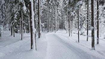 Bergresort Seefeld