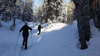 Bergresort Seefeld