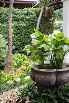 Asia Hotels Group - Poonpetch Chiangmai