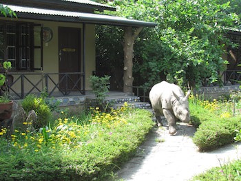 Chitwan Gaida Lodge