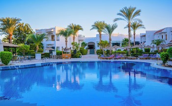 Dive Inn Resort