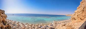 Dive Inn Resort