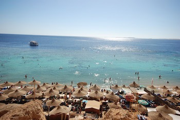 Dive Inn Resort