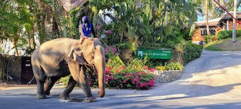 Kamala Beach Estate