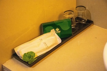 Chor Cher - The Luxury Green Hotel