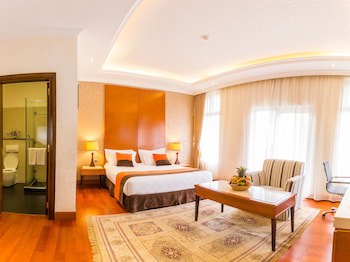 Alba Hotel Meru