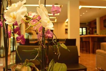 Alexakis Hotel & Spa fotoğrafı