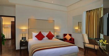 Park Plaza Chandigarh Zirakpur