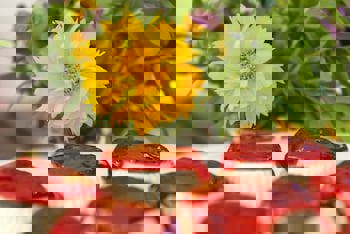 Alacati Kostem Hotel