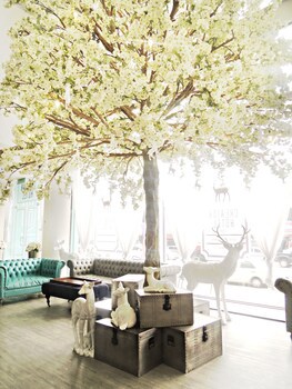 Creator Hotel