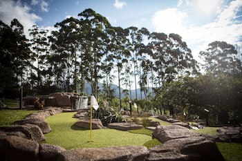 Anew Resort Ingeli Forest Kokstad