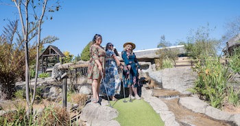 Anew Resort Ingeli Forest Kokstad