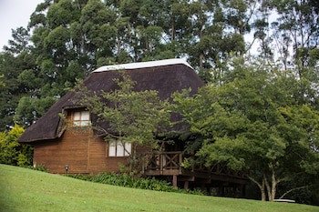 Anew Resort Ingeli Forest Kokstad