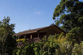 Anew Resort Ingeli Forest Kokstad