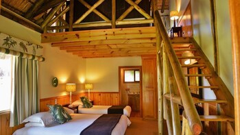 Anew Resort Ingeli Forest Kokstad