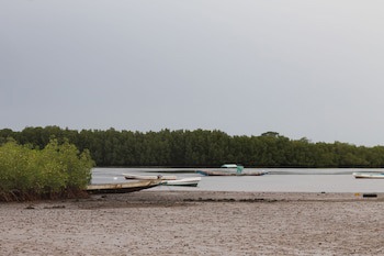Fathala Wildlife Reserve