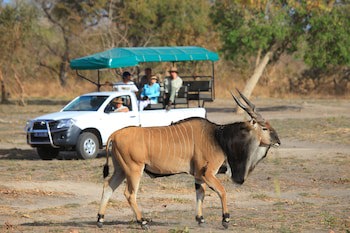 Fathala Wildlife Reserve