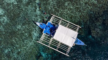 Quo Vadis Dive Resort Moalboal