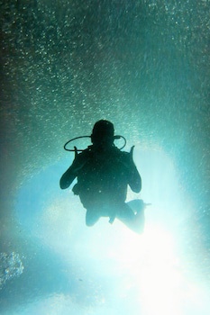 Quo Vadis Dive Resort Moalboal