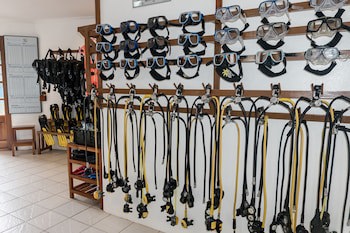 Quo Vadis Dive Resort Moalboal