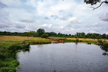 The Mill Hotel