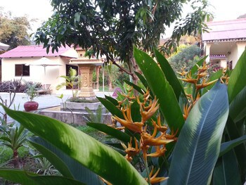 Bird Of Paradise Bungalows