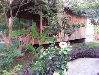Bird Of Paradise Bungalows