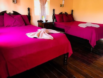 Tropical Paradise Hotel