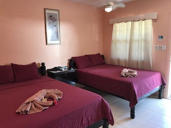 Tropical Paradise Hotel