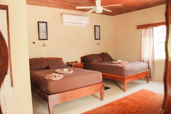 Tropical Paradise Hotel
