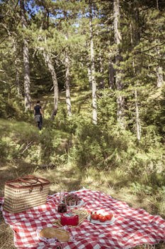 Grand Forest Metsovo