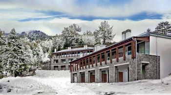 Grand Forest Metsovo