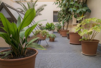 Hotel Zentral Mayoral