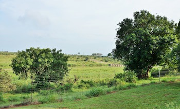 Elephant Walk Retreat