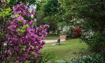 Merry Pebbles Resort & Caravan Park