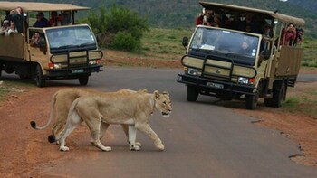 Golden Leopard Resorts - Manyane Resort