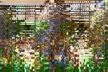 Rixos Premium Göcek Adult Only