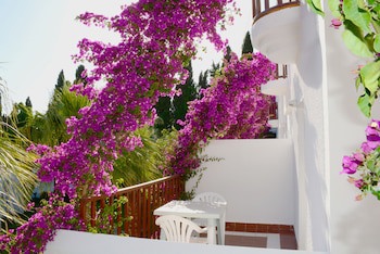 Natur Garden Hotel galeri fotoğrafı