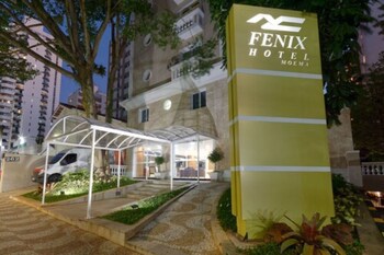 Fenix Moema
