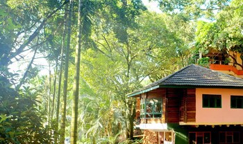 Forest Cottages