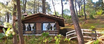 Monteverde Hotel De Cabanas