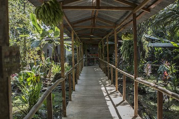 Caribbean Paradise Eco-Lodge