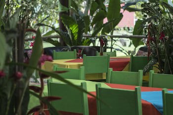 Caribbean Paradise Eco-Lodge