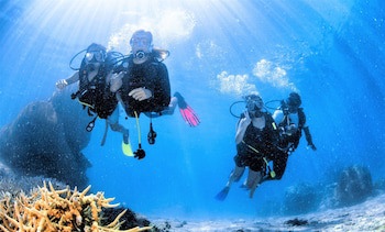 Barefoot Manta Island
