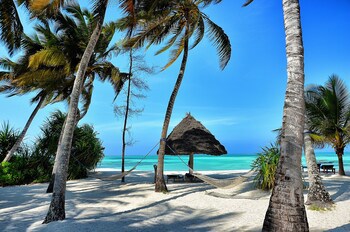 Pongwe Beach Hotel